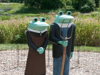 2016 - MortArboretumFrogs 0018 : Morton Arboritum, 2016 - Morton Frogs